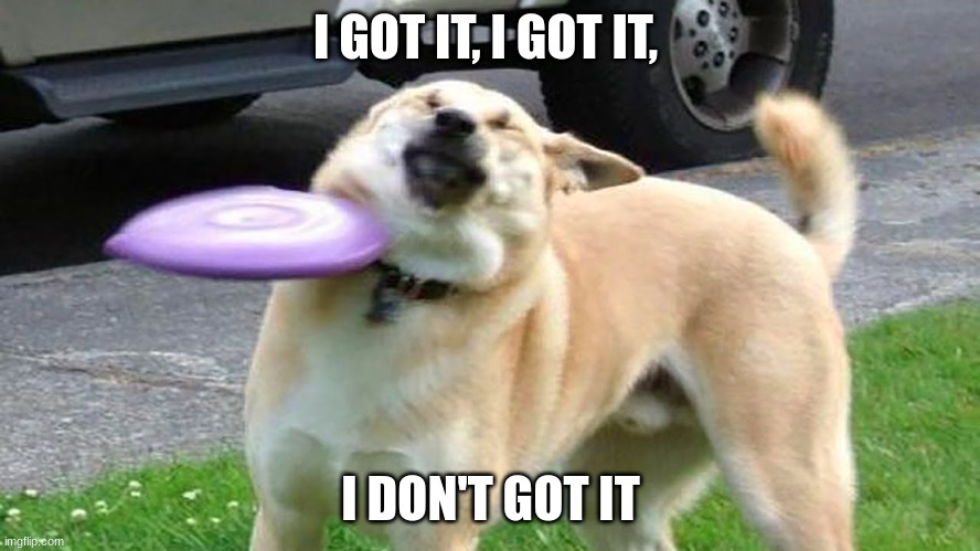 Dog | I GOT IT, I GOT IT, I DON'T GOT IT | image tagged in dogs,funny | made w/ Imgflip meme maker