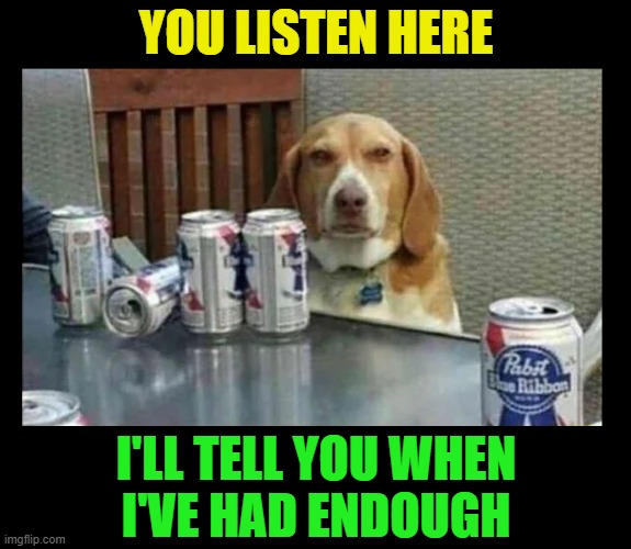 YOU LISTEN HERE; I'LL TELL YOU WHEN
I'VE HAD ENDOUGH | image tagged in beer,drink beer,cold beer here,dogs,funny dogs,craft beer | made w/ Imgflip meme maker