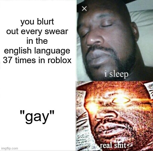 Sleeping Shaq Meme | you blurt out every swear in the english language 37 times in roblox; "gay" | image tagged in memes,sleeping shaq | made w/ Imgflip meme maker