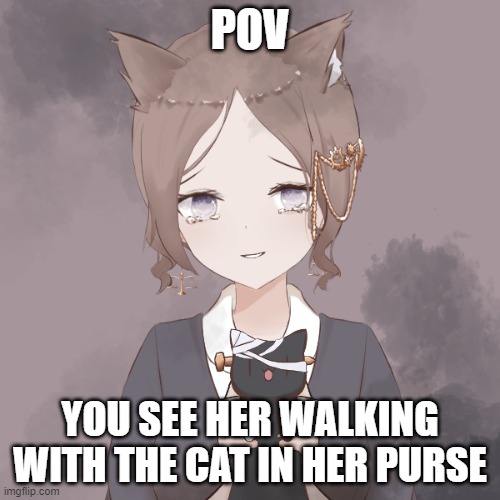 donts know name yet so it will change with different names | POV; YOU SEE HER WALKING WITH THE CAT IN HER PURSE | made w/ Imgflip meme maker