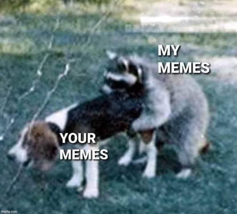 image tagged in memes | made w/ Imgflip meme maker