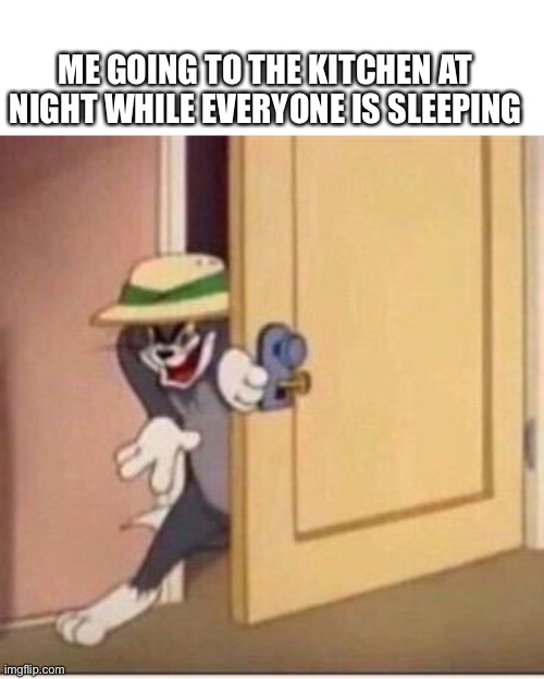 Sneaky tom | ME GOING TO THE KITCHEN AT NIGHT WHILE EVERYONE IS SLEEPING | image tagged in sneaky tom,memes | made w/ Imgflip meme maker