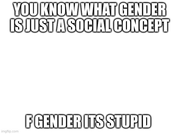 Blank White Template | YOU KNOW WHAT GENDER IS JUST A SOCIAL CONCEPT; F GENDER ITS STUPID | image tagged in blank white template | made w/ Imgflip meme maker