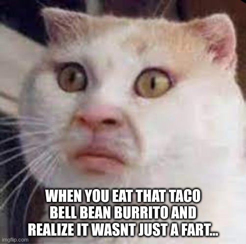 WHEN YOU EAT THAT TACO BELL BEAN BURRITO AND REALIZE IT WASNT JUST A FART... | made w/ Imgflip meme maker