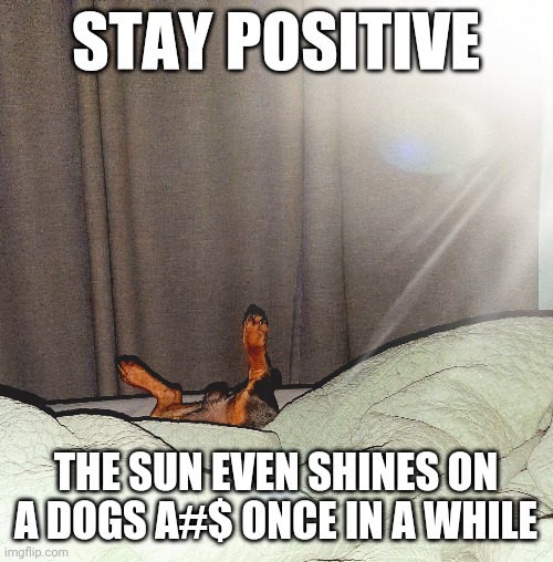 Stay positive | STAY POSITIVE; THE SUN EVEN SHINES ON A DOGS A#$ ONCE IN A WHILE | image tagged in the sun,shine | made w/ Imgflip meme maker
