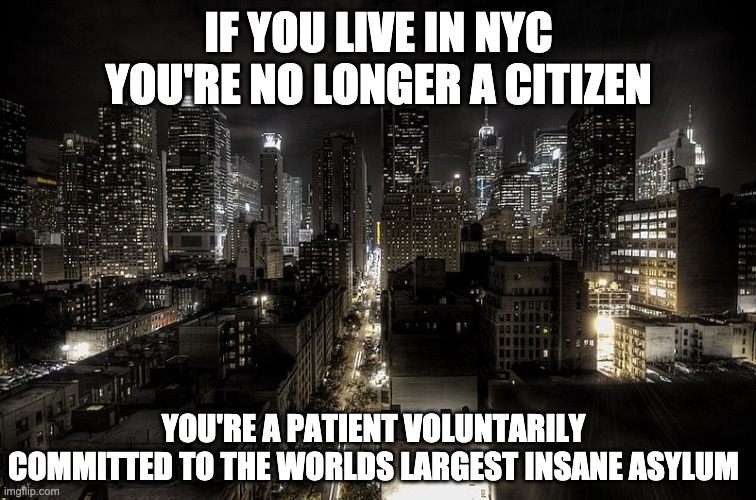 Insane Asylum |  IF YOU LIVE IN NYC YOU'RE NO LONGER A CITIZEN; YOU'RE A PATIENT VOLUNTARILY COMMITTED TO THE WORLDS LARGEST INSANE ASYLUM | image tagged in iloveny,funny memes | made w/ Imgflip meme maker
