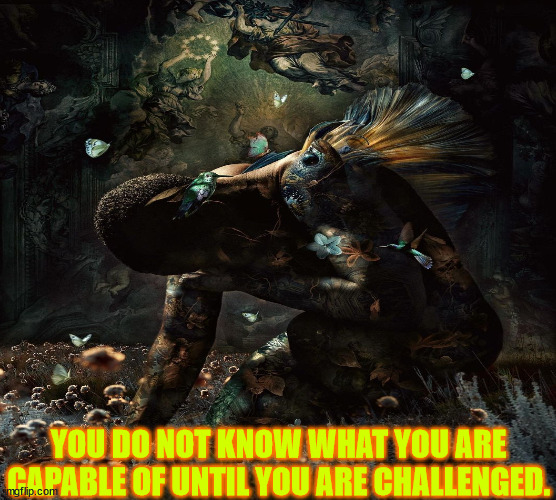 JD145 | YOU DO NOT KNOW WHAT YOU ARE CAPABLE OF UNTIL YOU ARE CHALLENGED. | image tagged in philosophy | made w/ Imgflip meme maker
