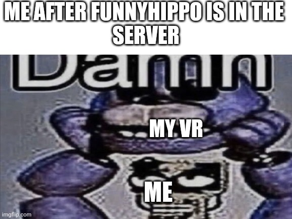 Rec room meme | ME AFTER FUNNYHIPPO IS IN THE 
SERVER; MY VR; ME | image tagged in rr,recroom,funnyhippo45,vr | made w/ Imgflip meme maker