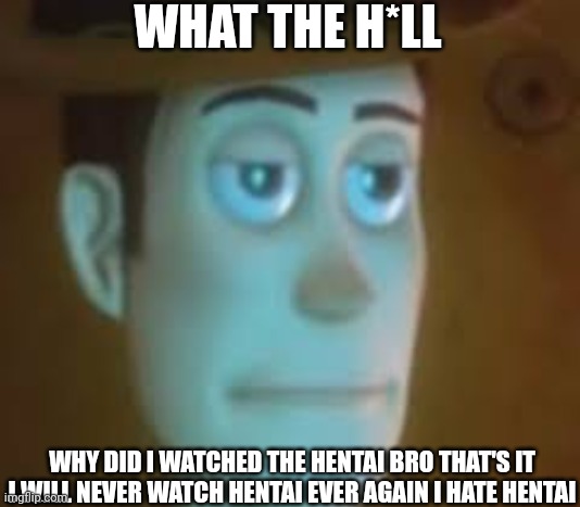 Woody Never Watch Hentai Ever Again | WHAT THE H*LL; WHY DID I WATCHED THE HENTAI BRO THAT'S IT I WILL NEVER WATCH HENTAI EVER AGAIN I HATE HENTAI | image tagged in disappointed woody | made w/ Imgflip meme maker