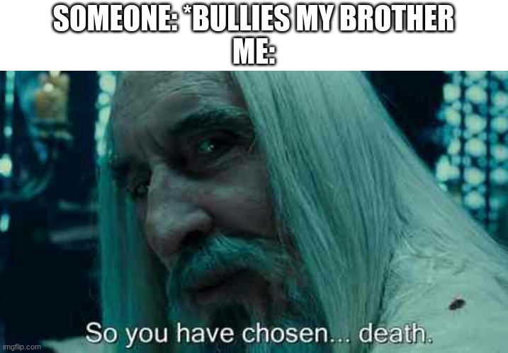 i am the only one who can do this | SOMEONE: *BULLIES MY BROTHER
ME: | image tagged in so you have chosen death,siblings,funny,relatable,memes,stop reading the tags | made w/ Imgflip meme maker