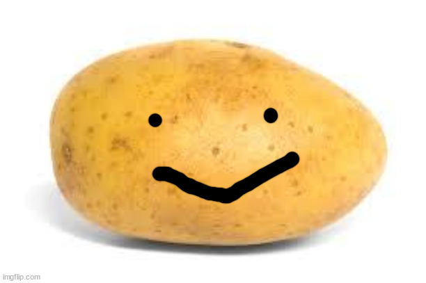 Potato | image tagged in potato | made w/ Imgflip meme maker