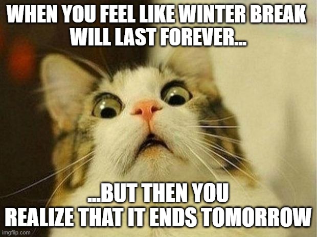 Scared Cat | WHEN YOU FEEL LIKE WINTER BREAK 
WILL LAST FOREVER... ...BUT THEN YOU REALIZE THAT IT ENDS TOMORROW | image tagged in memes,scared cat | made w/ Imgflip meme maker