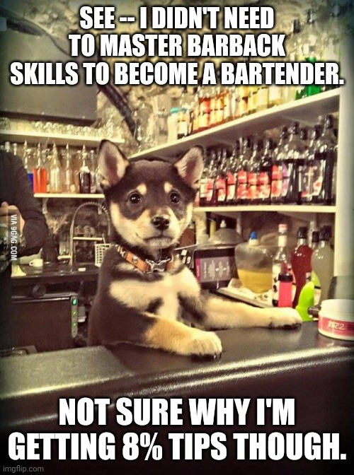 Barbacks rushing to become bartenders | SEE -- I DIDN'T NEED TO MASTER BARBACK SKILLS TO BECOME A BARTENDER. NOT SURE WHY I'M GETTING 8% TIPS THOUGH. | image tagged in bartender puppy,bartender,bars,cocktails,drinking | made w/ Imgflip meme maker