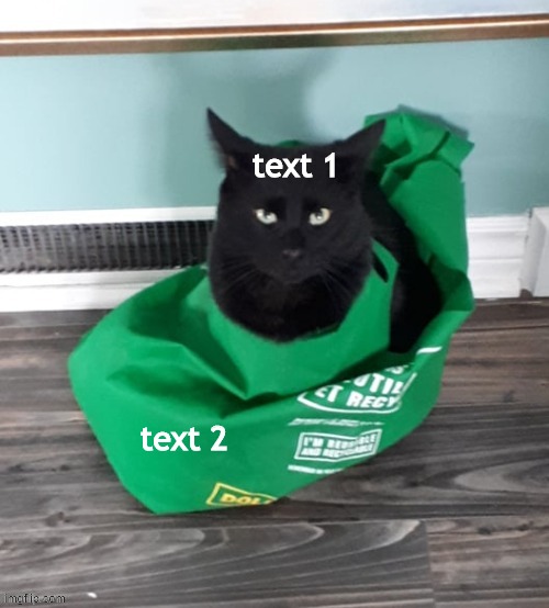stuck cat | text 1; text 2 | image tagged in stuck cat cat | made w/ Imgflip meme maker