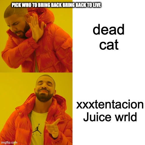 Who you bringing back | PICK WHO TO BRING BACK BRING BACK TO LIVE; dead cat; xxxtentacion
Juice wrld | image tagged in memes,drake hotline bling | made w/ Imgflip meme maker