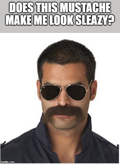 Sleazy Mustache | DOES THIS MUSTACHE MAKE ME LOOK SLEAZY? | image tagged in sleazy,mustache,porn stache,handsome,funny,memes | made w/ Imgflip meme maker