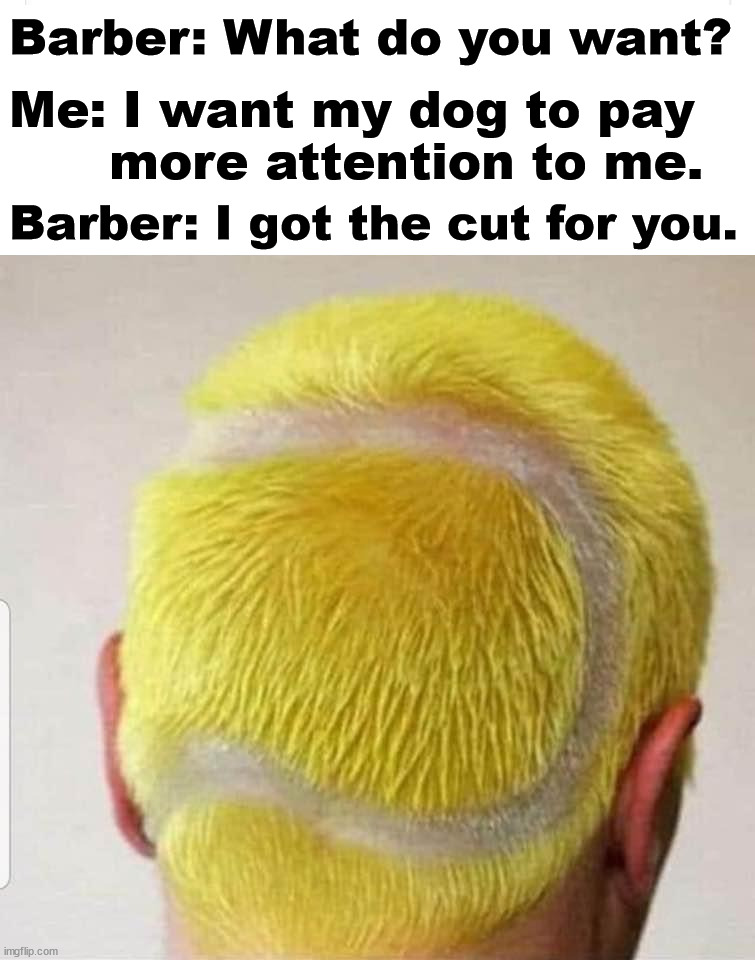 Look like what they like. | Barber: What do you want? Me: I want my dog to pay 
      more attention to me. Barber: I got the cut for you. | image tagged in tennis,balls | made w/ Imgflip meme maker
