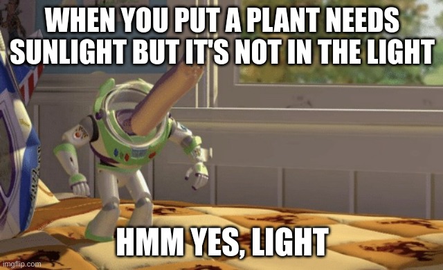 Hmm yes | WHEN YOU PUT A PLANT NEEDS SUNLIGHT BUT IT'S NOT IN THE LIGHT; HMM YES, LIGHT | image tagged in hmm yes | made w/ Imgflip meme maker