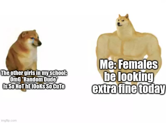 My friends called me gay ball of energy yesterday. It was accurate | Me: Females be looking extra fine today; The other girls in my school:
OmG *Random Dude* Is So HoT hE lOoKs So CuTe | image tagged in buff doge vs cheems reversed,lgbtq,gay,lesbian | made w/ Imgflip meme maker