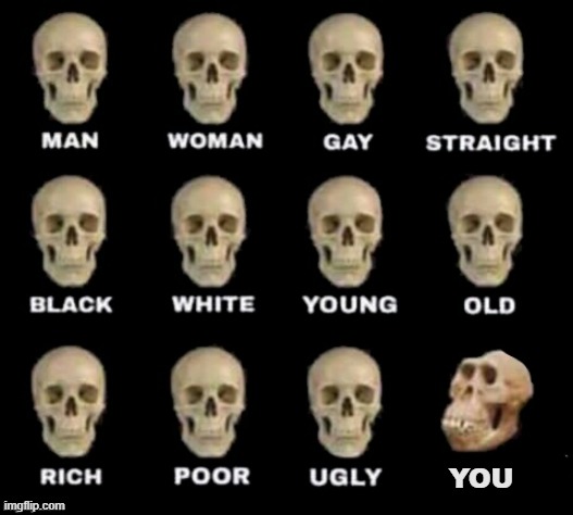 idiot skull | YOU | image tagged in idiot skull | made w/ Imgflip meme maker