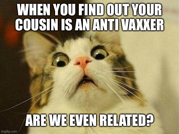 Anti vaxx cousin | WHEN YOU FIND OUT YOUR COUSIN IS AN ANTI VAXXER; ARE WE EVEN RELATED? | image tagged in memes,scared cat,antivax,are we even related | made w/ Imgflip meme maker