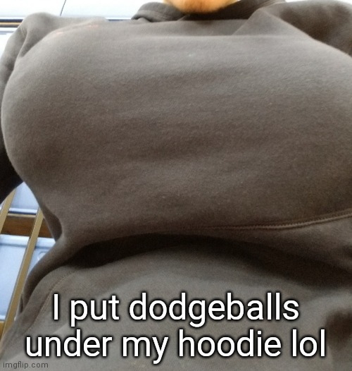 I put dodgeballs under my hoodie lol | made w/ Imgflip meme maker