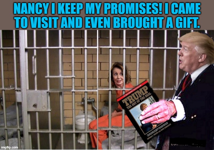 trump visits Nancy Pelosi in prison | NANCY I KEEP MY PROMISES! I CAME
TO VISIT AND EVEN BROUGHT A GIFT. | image tagged in political humor,prison,donald trump,nancy pelosi,gift,promises | made w/ Imgflip meme maker