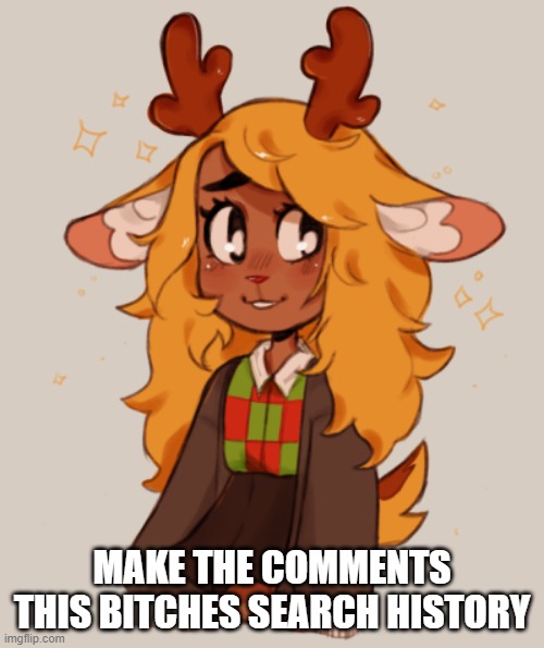 MAKE THE COMMENTS THIS BITCHES SEARCH HISTORY | made w/ Imgflip meme maker