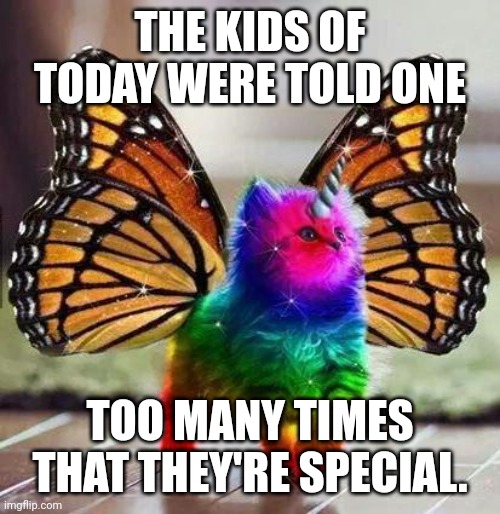 Special snowflake | THE KIDS OF TODAY WERE TOLD ONE; TOO MANY TIMES THAT THEY'RE SPECIAL. | image tagged in rainbow unicorn butterfly kitten,cat | made w/ Imgflip meme maker