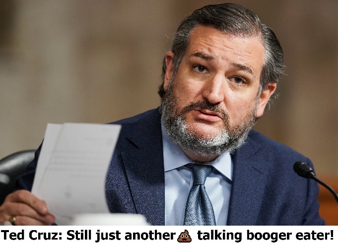 Ted Cruz: Still just another shit talking booger eater! | image tagged in bashful ted cruz,booger,booger eater,shit talker,shitpost,liar liar | made w/ Imgflip meme maker
