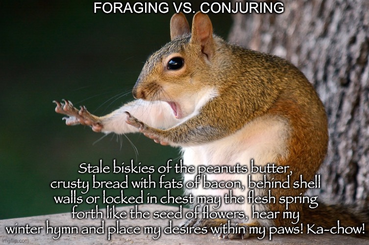 Whoa now Squirrel | FORAGING VS. CONJURING; Stale biskies of the peanuts butter, crusty bread with fats of bacon, behind shell walls or locked in chest may the flesh spring forth like the seed of flowers, hear my winter hymn and place my desires within my paws! Ka-chow! | image tagged in conjuring squirrel | made w/ Imgflip meme maker