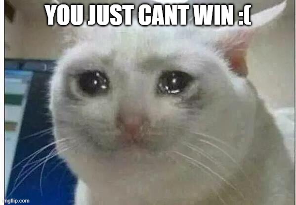 crying cat | YOU JUST CANT WIN :( | image tagged in crying cat | made w/ Imgflip meme maker