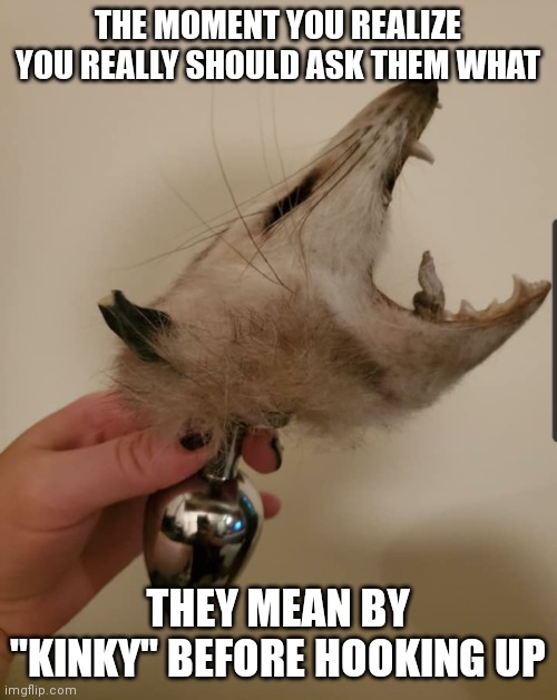 Possum butt plug | THE MOMENT YOU REALIZE YOU REALLY SHOULD ASK THEM WHAT; THEY MEAN BY "KINKY" BEFORE HOOKING UP | image tagged in possum butt plug | made w/ Imgflip meme maker
