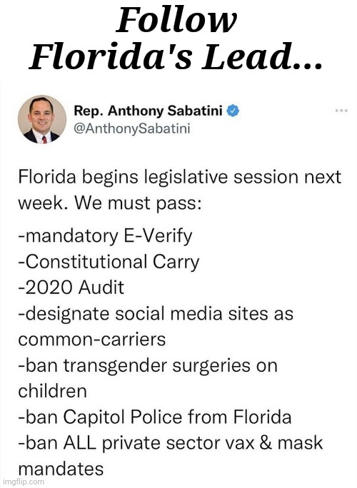 Follow Florida's Lead... | Follow Florida's Lead... | image tagged in follow,florida,lead | made w/ Imgflip meme maker