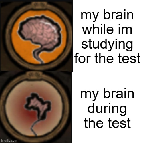 b r a i n | my brain while im studying for the test; my brain during the test | image tagged in studying,test,brain | made w/ Imgflip meme maker
