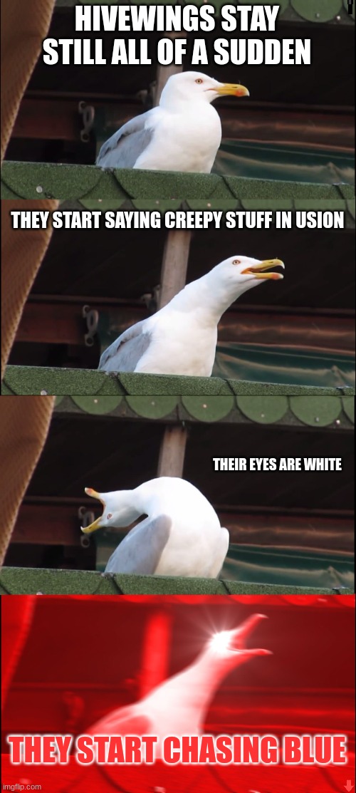 daily wof meme 22 | HIVEWINGS STAY STILL ALL OF A SUDDEN; THEY START SAYING CREEPY STUFF IN USION; THEIR EYES ARE WHITE; THEY START CHASING BLUE | image tagged in memes,inhaling seagull | made w/ Imgflip meme maker