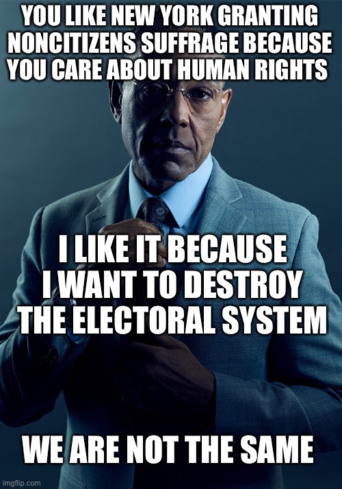 Next up? Voting rights for the vitally challenged. | YOU LIKE NEW YORK GRANTING NONCITIZENS SUFFRAGE BECAUSE YOU CARE ABOUT HUMAN RIGHTS; I LIKE IT BECAUSE I WANT TO DESTROY THE ELECTORAL SYSTEM; WE ARE NOT THE SAME | image tagged in gus fring we are not the same | made w/ Imgflip meme maker