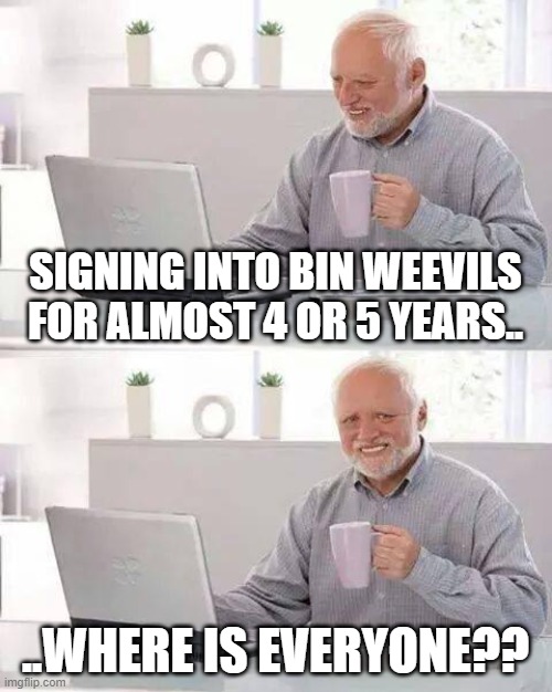 i joined a year ago.. there was hardly anyone there... | SIGNING INTO BIN WEEVILS FOR ALMOST 4 OR 5 YEARS.. ..WHERE IS EVERYONE?? | image tagged in memes,hide the pain harold | made w/ Imgflip meme maker