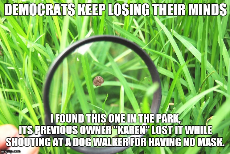 Democrats keep losing their minds. | DEMOCRATS KEEP LOSING THEIR MINDS; I FOUND THIS ONE IN THE PARK,
ITS PREVIOUS OWNER "KAREN" LOST IT WHILE
SHOUTING AT A DOG WALKER FOR HAVING NO MASK. | image tagged in memes,democrats,liberals,leftists,losing it,political meme | made w/ Imgflip meme maker