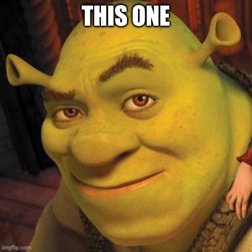 Shrek Sexy Face | THIS ONE | image tagged in shrek sexy face | made w/ Imgflip meme maker