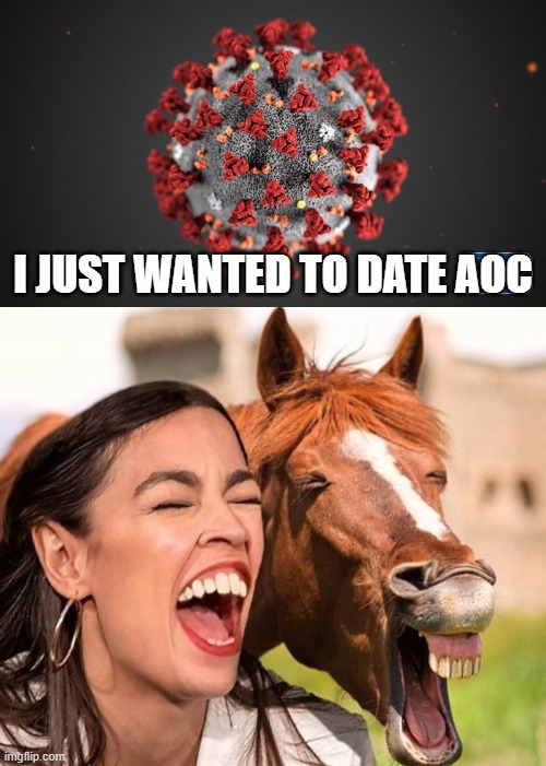 I JUST WANTED TO DATE AOC | image tagged in covid 19,horse face aoc | made w/ Imgflip meme maker