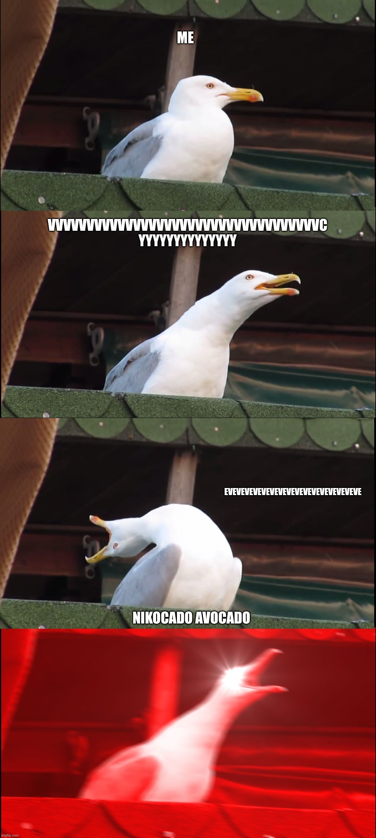 Inhaling Seagull | ME; VVVVVVVVVVVVVVVVVVVVVVVVVVVVVVVVVVVC YYYYYYYYYYYYYY; EVEVEVEVEVEVEVEVEVEVEVEVEVEVEVEVE; NIKOCADO AVOCADO | image tagged in memes,inhaling seagull | made w/ Imgflip meme maker