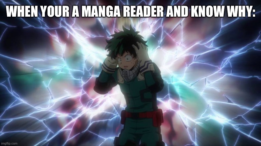 Revelation Deku | WHEN YOUR A MANGA READER AND KNOW WHY: | image tagged in revelation deku | made w/ Imgflip meme maker