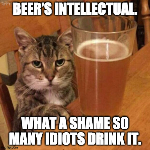 Beer cat! |  BEER’S INTELLECTUAL. WHAT A SHAME SO MANY IDIOTS DRINK IT. | image tagged in angry drunk cat,cat,beer,drunk,philosopher | made w/ Imgflip meme maker