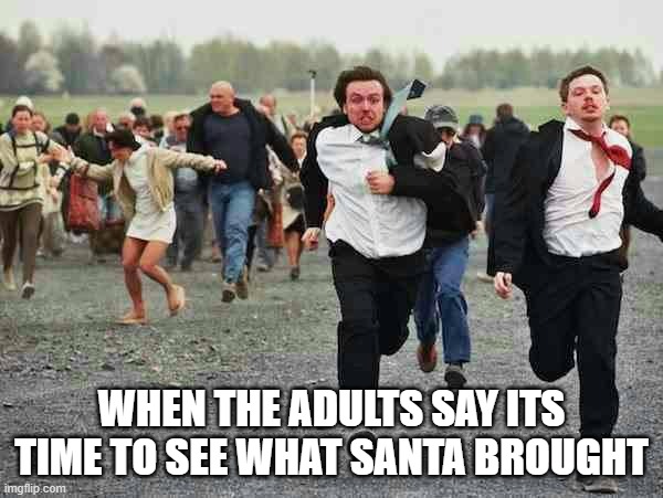 stampede | WHEN THE ADULTS SAY ITS TIME TO SEE WHAT SANTA BROUGHT | image tagged in stampede | made w/ Imgflip meme maker