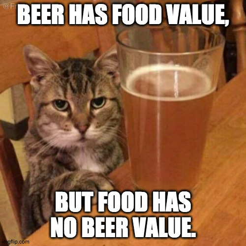 Beer Cat Judges You | BEER HAS FOOD VALUE, BUT FOOD HAS NO BEER VALUE. | image tagged in angry drunk cat | made w/ Imgflip meme maker