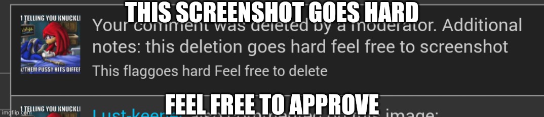 This approval goes hard, feel free to comment | THIS SCREENSHOT GOES HARD; FEEL FREE TO APPROVE | made w/ Imgflip meme maker