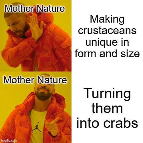 If lobsters turn into crabs as well, I wont even be surprised. |  Mother Nature; Making crustaceans unique in form and size; Mother Nature; Turning them into crabs | image tagged in memes,drake hotline bling | made w/ Imgflip meme maker