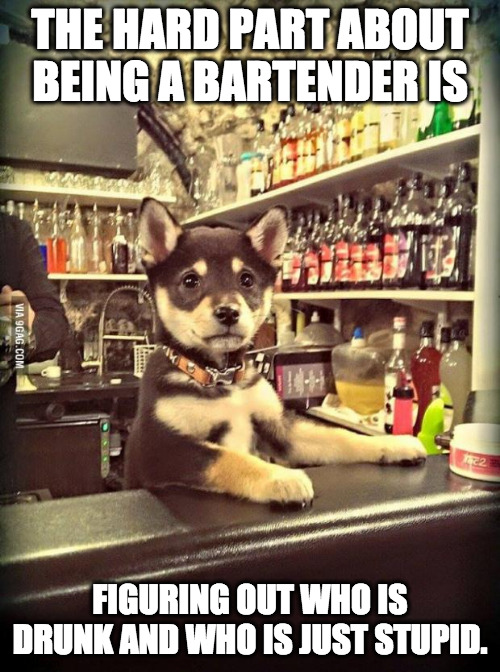 Drunk or stupid | THE HARD PART ABOUT BEING A BARTENDER IS; FIGURING OUT WHO IS DRUNK AND WHO IS JUST STUPID. | image tagged in bartender puppy,bartender,drunk,stupid,dog,puppy | made w/ Imgflip meme maker