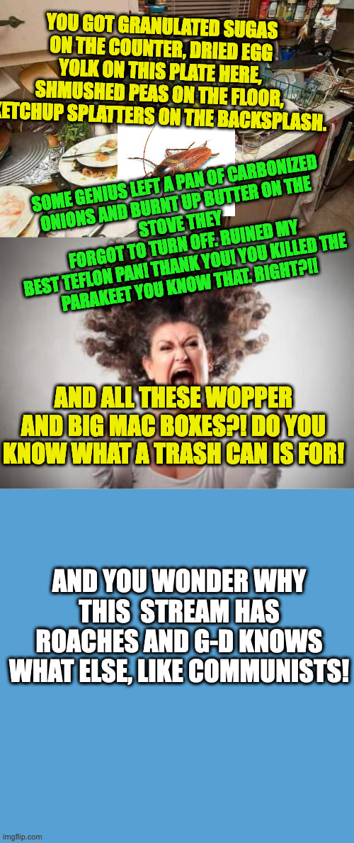 ImgFlip Mom Meltdown | YOU GOT GRANULATED SUGAS ON THE COUNTER, DRIED EGG YOLK ON THIS PLATE HERE, SHMUSHED PEAS ON THE FLOOR, KETCHUP SPLATTERS ON THE BACKSPLASH. SOME GENIUS LEFT A PAN OF CARBONIZED
ONIONS AND BURNT UP BUTTER ON THE 
STOVE THEY
 FORGOT TO TURN OFF. RUINED MY 
BEST TEFLON PAN! THANK YOU! YOU KILLED THE 
PARAKEET YOU KNOW THAT. RIGHT?!! AND ALL THESE WOPPER AND BIG MAC BOXES?! DO YOU KNOW WHAT A TRASH CAN IS FOR! AND YOU WONDER WHY THIS  STREAM HAS ROACHES AND G-D KNOWS WHAT ELSE, LIKE COMMUNISTS! | image tagged in dirty kitchen,angry mom,light blue sucks | made w/ Imgflip meme maker